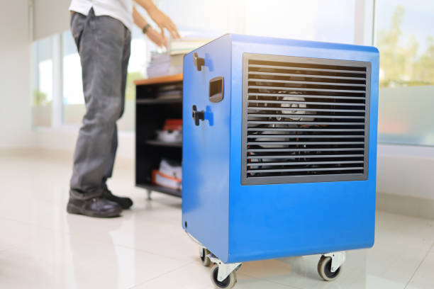 Reliable Loogootee, IN Mold Removal Solutions