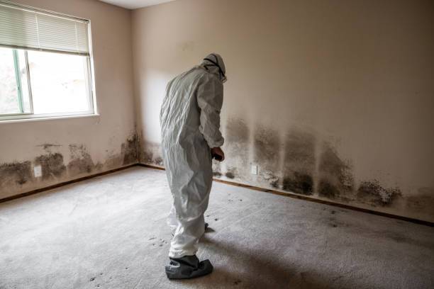 Best Air Quality Testing for Mold Spores  in Loogootee, IN